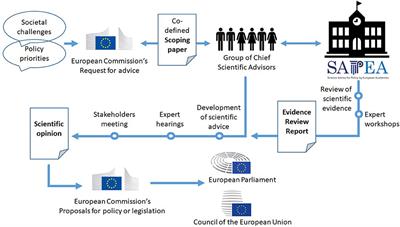 European Union's policymaking on sustainable waste management and circularity in agroecosystems: The potential for innovative interactions between science and decision-making